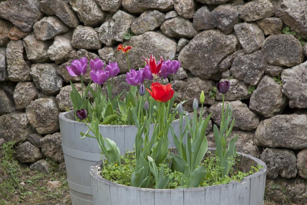 Agriturismo Borgo Personatina Sovicille Luaran gambar